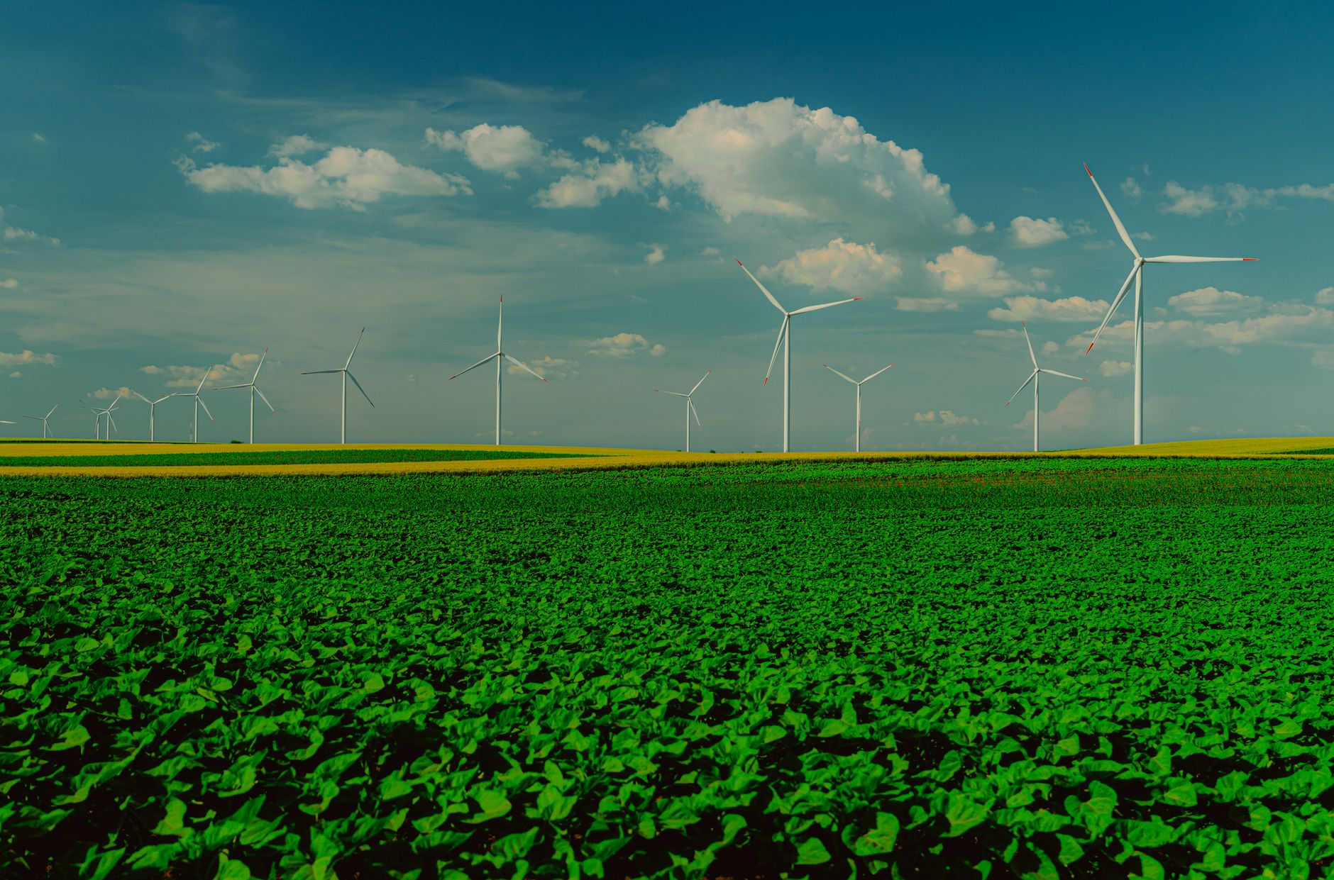 Infrax Renewable Ltd IPO