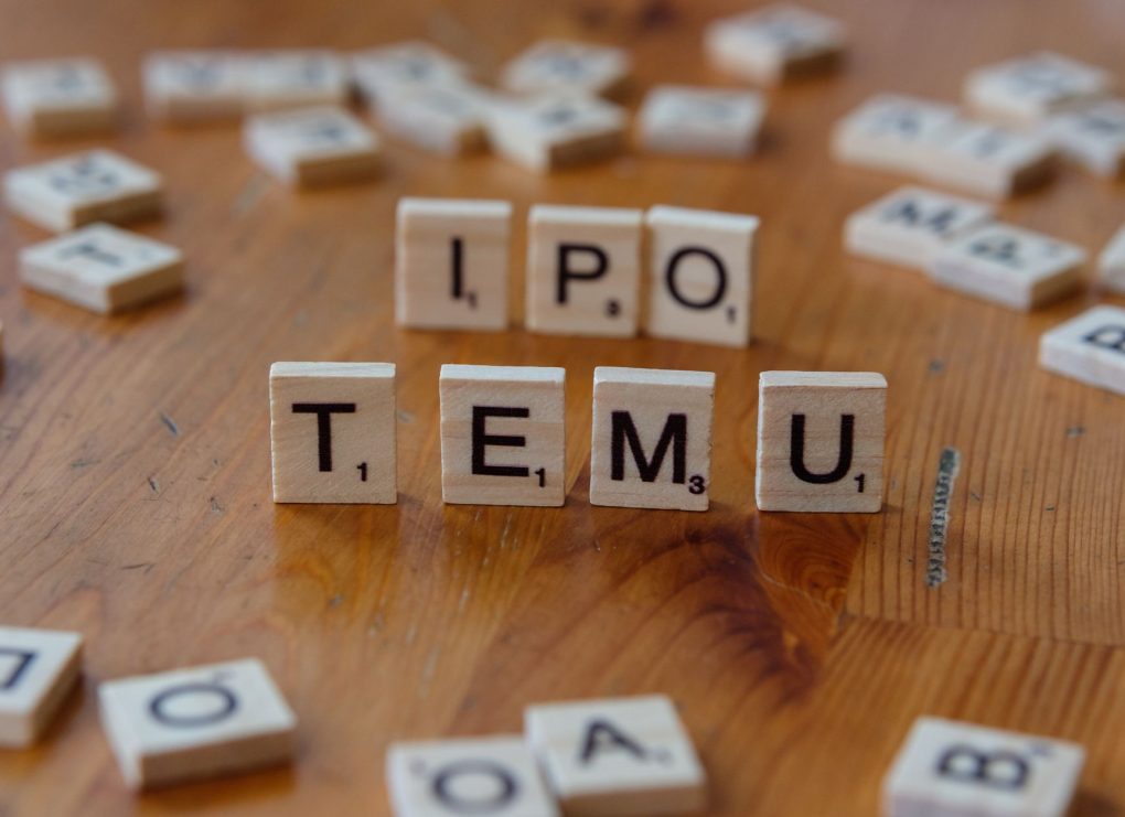 NSE IPO details