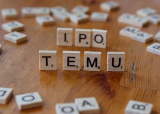 NSE IPO details