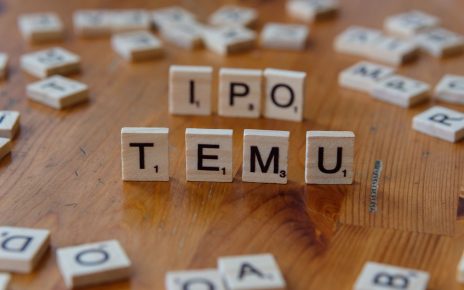 NSE IPO details