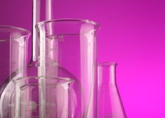 Purple Style Labs IPO