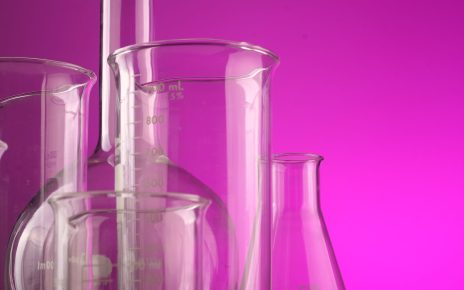 Purple Style Labs IPO