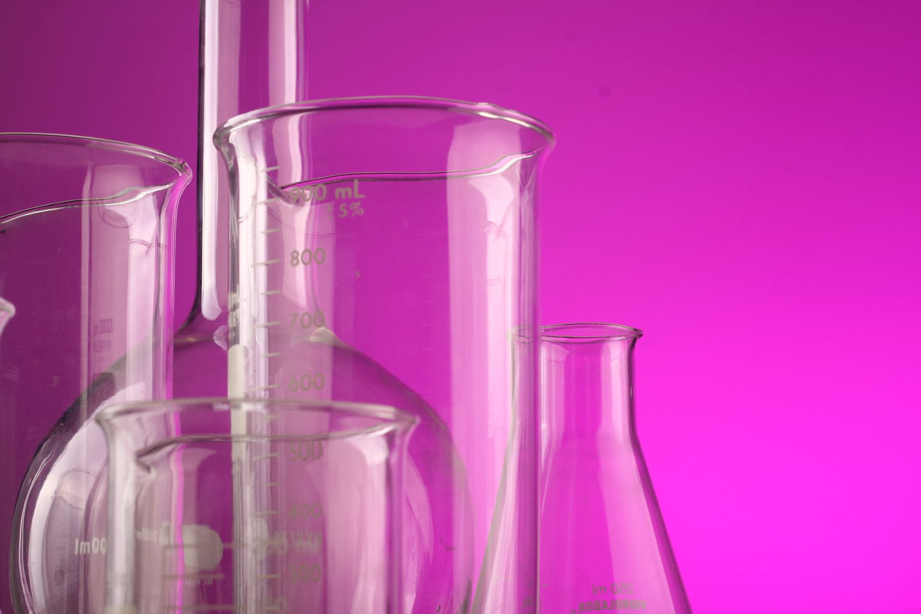Purple Style Labs IPO