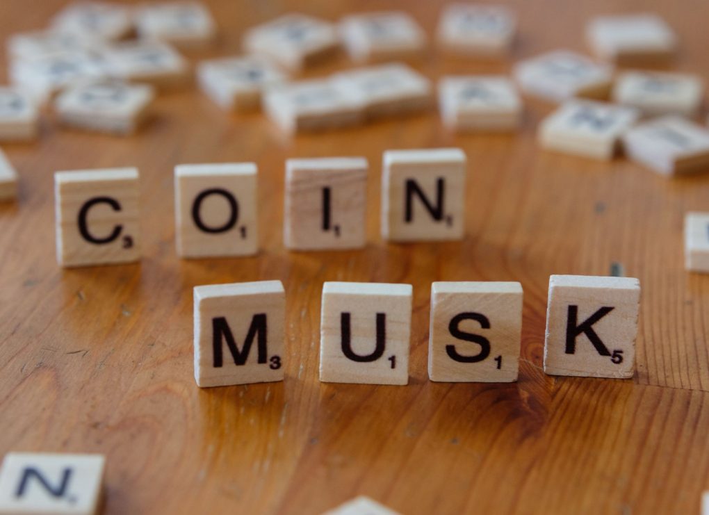 Elon Musk net worth