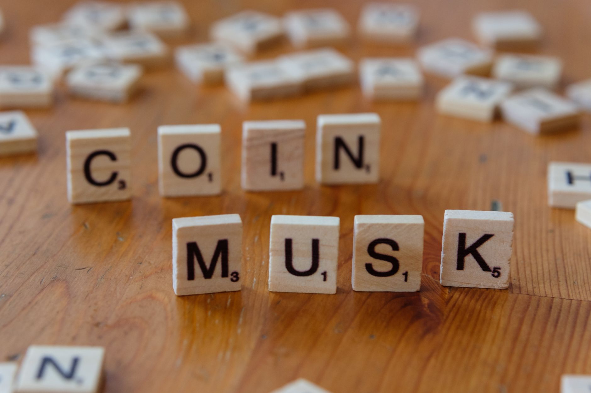 Elon Musk net worth